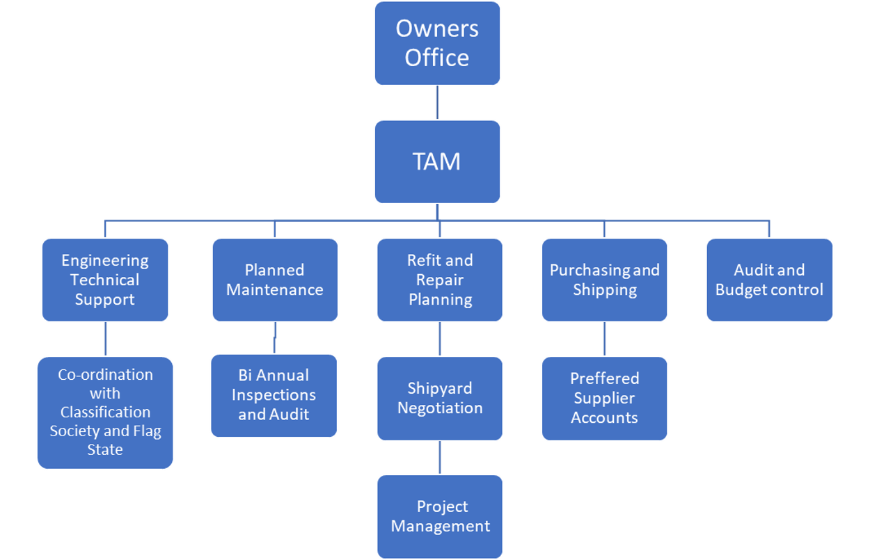 Management Structure and Scope of Duties